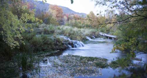 A serene landscape featuring a flowing stream, small waterfalls, and autumn foliage in vibrant colors.