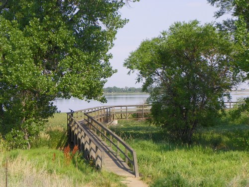 A wooden walkway leads through lush greenery to a calm lake, surrounded by trees under a clear blue sky.