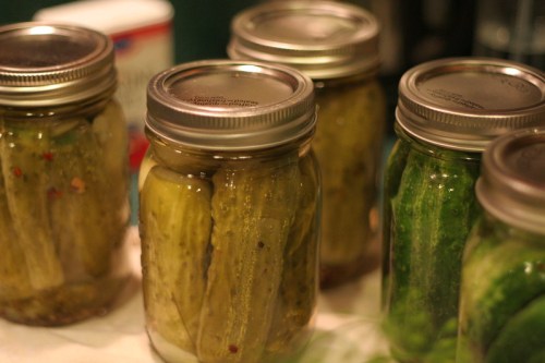 Jars of pickles with spices, sitting on a countertop, with a blurred background of kitchen items.