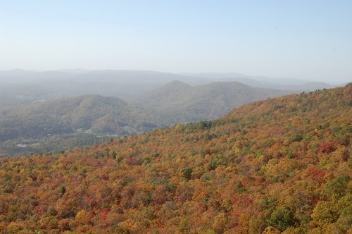 A panoramic view of rolling hills covered in vibrant autumn foliage under a clear sky.