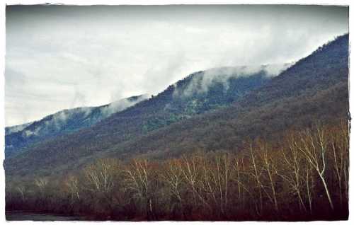 Foggy mountains rise above bare trees along a river, creating a serene, misty landscape.