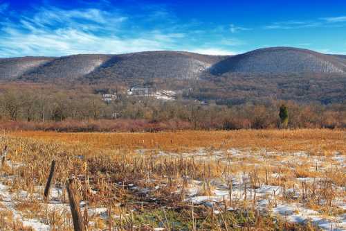 A scenic view of rolling hills with sparse trees, a snowy foreground, and a bright blue sky.