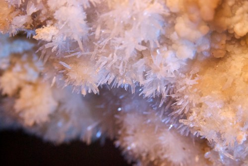 Close-up of sparkling white crystal formations on a rocky surface, showcasing intricate, delicate structures.