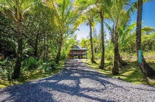 A gravel path lined with palm trees leads to a modern house surrounded by lush greenery and blue skies.
