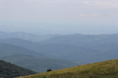 A panoramic view of rolling blue mountains under a cloudy sky, with a grassy foreground.