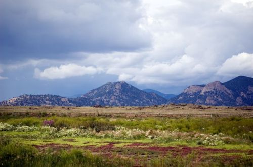 A scenic view of mountains under a cloudy sky, with green fields and wildflowers in the foreground.