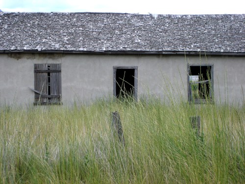 Abandoned building with boarded windows, surrounded by tall grass and a weathered roof.