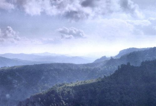 A misty landscape of rolling hills and mountains under a cloudy sky, creating a serene and tranquil atmosphere.
