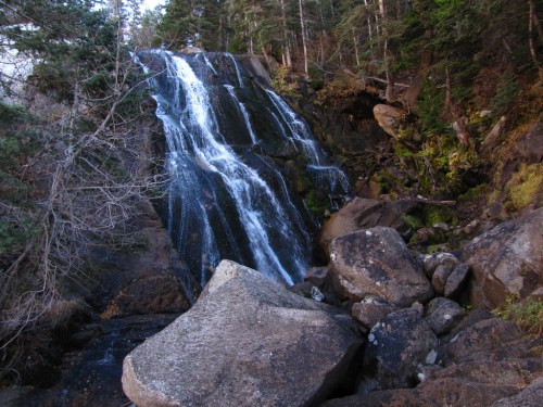 A cascading waterfall flows over rocky terrain, surrounded by lush green trees and mossy stones.