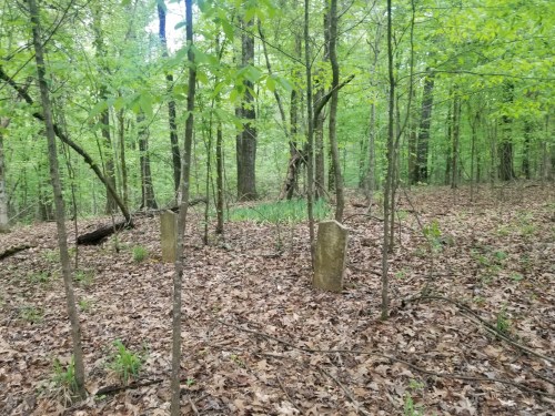 Two weathered gravestones stand among trees in a lush, green forest, surrounded by fallen leaves.