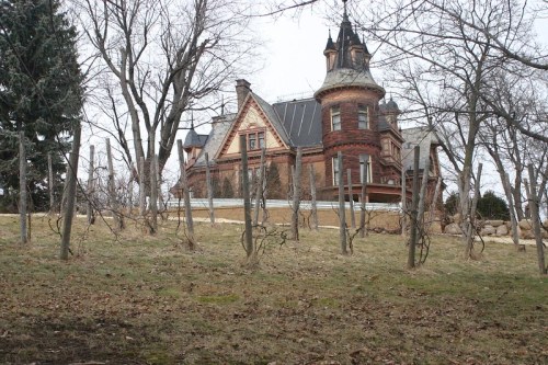 A large, ornate Victorian-style house with a turret, surrounded by bare trees and a grassy area.