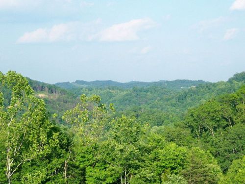 Lush green hills and trees under a clear blue sky, creating a serene natural landscape.