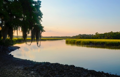 A serene river scene at sunset, with lush greenery and hanging moss reflecting on calm waters.