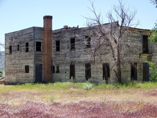 Abandoned wooden building with broken windows, a chimney, and a leafless tree, surrounded by overgrown grass.