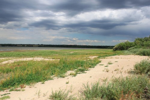 A sandy shoreline with green grass and shrubs under a cloudy sky, beside a calm body of water.