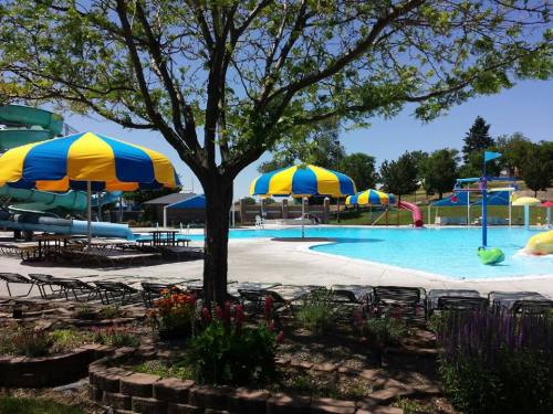 A sunny pool area with colorful umbrellas, water slides, and lounge chairs surrounded by greenery.