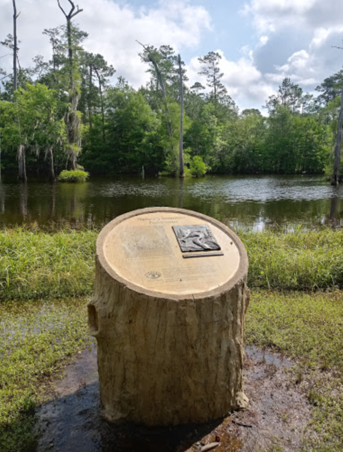 A tree stump with a plaque stands near a calm pond surrounded by lush greenery and trees under a cloudy sky.