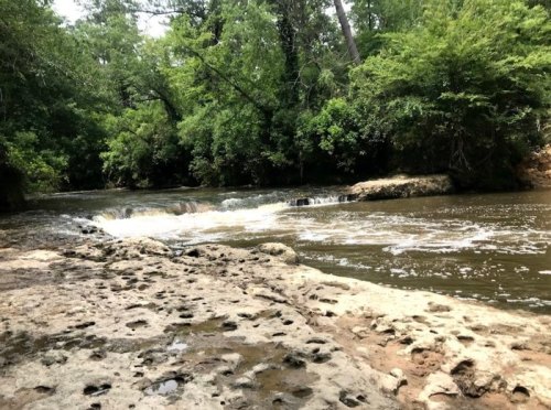 A serene river flows through a lush green forest, with rocky banks and gentle ripples in the water.