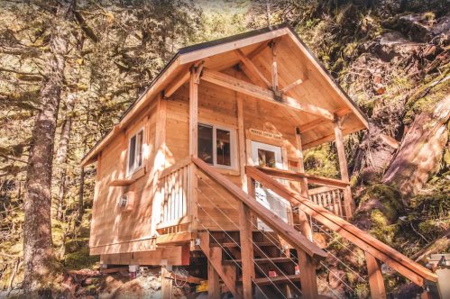 A small wooden cabin nestled among trees, featuring a porch and stairs, surrounded by lush greenery.