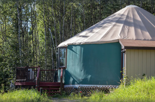 A yurt with a green and beige exterior, surrounded by tall grass and trees in a natural setting.