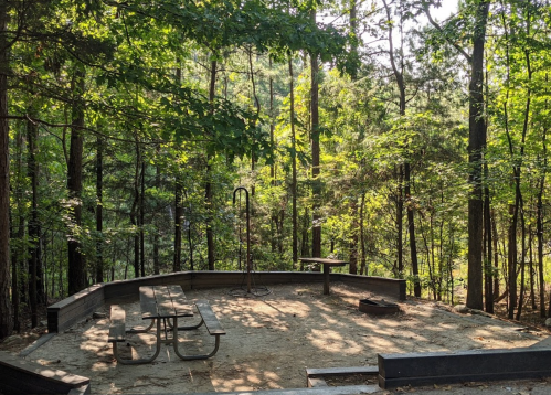 A clearing in a forest with a picnic table, fire pit, and a hanging grill, surrounded by tall trees and greenery.