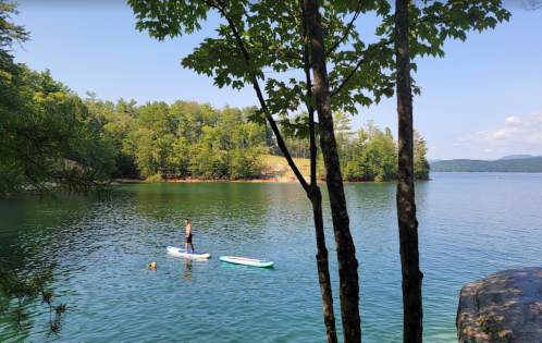 A person paddleboarding on calm water surrounded by trees and a scenic landscape.