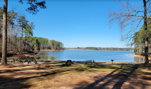 A serene lakeside view with picnic tables, surrounded by trees and clear blue skies.