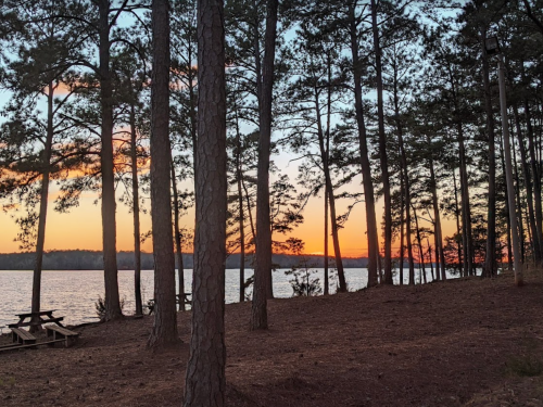 Sunset over a lake, framed by tall trees and a picnic area, creating a serene outdoor scene.