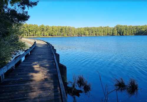 A wooden boardwalk curves along a calm lake, surrounded by lush green trees under a clear blue sky.