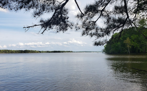 A serene lake view framed by tree branches, with calm water and a cloudy sky in the background.