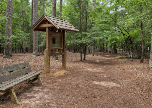 A wooden signpost stands near a bench along a dirt path in a forested area with tall trees.