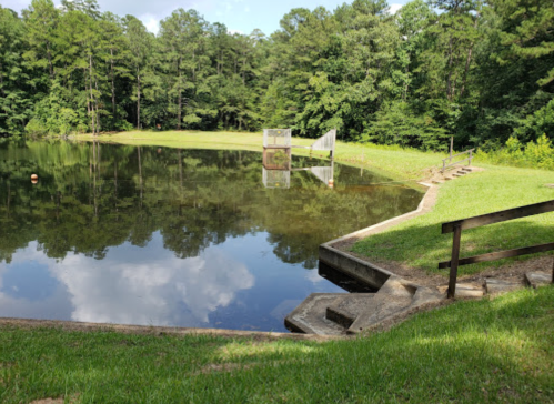 A serene pond surrounded by trees, with a grassy bank and a small wooden structure near the water's edge.