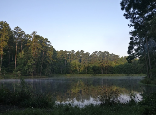 A serene lake surrounded by tall trees, reflecting the morning sky and mist rising from the water.