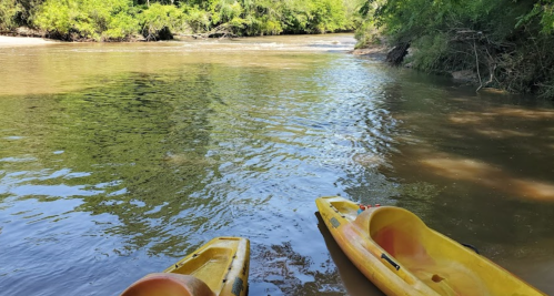Two yellow kayaks are moored by a calm river, surrounded by lush greenery and sunlight reflecting on the water.