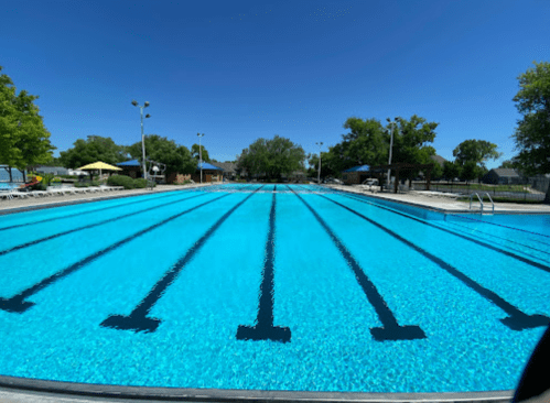 A clear blue swimming pool with lane markings under a bright blue sky and trees in the background.