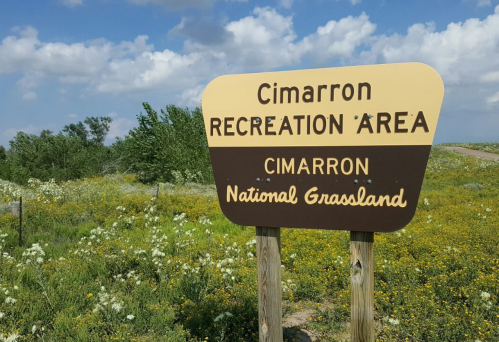 Sign for Cimarron Recreation Area at Cimarron National Grassland, surrounded by green grass and wildflowers under a cloudy sky.