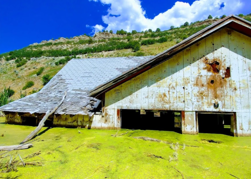Abandoned house partially submerged in green algae, with a slanted roof and surrounding hills under a blue sky.