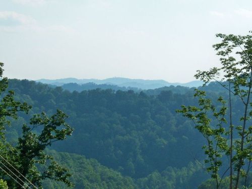 A scenic view of rolling green hills under a light blue sky, with trees in the foreground and distant mountains.