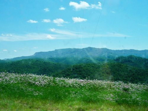 A scenic view of rolling green hills and a distant mountain under a bright blue sky with scattered clouds.