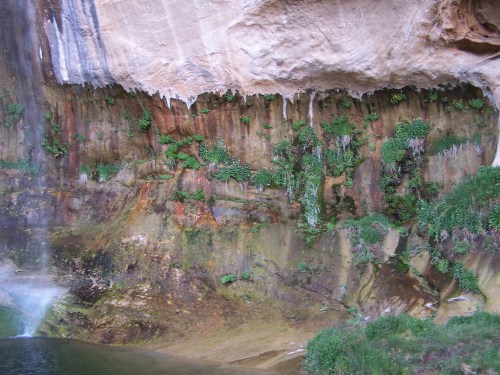 A rocky cliff with cascading water, lush greenery, and icicle-like formations along the edge.