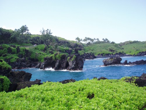 Lush green coastline with rocky formations and blue water under a clear sky. Palm trees dot the landscape.
