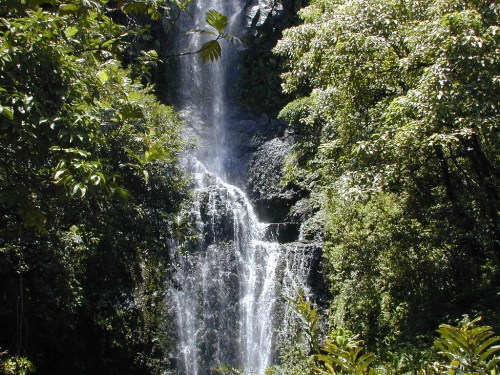 A serene waterfall cascading down rocky cliffs, surrounded by lush green foliage and trees.