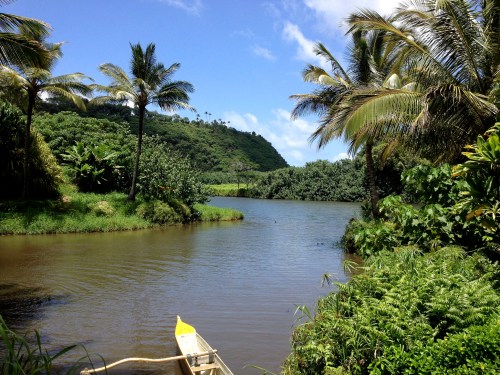 A serene river surrounded by lush greenery and palm trees under a bright blue sky. A kayak is visible on the shore.