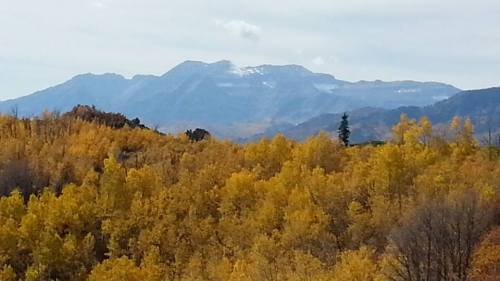 A scenic view of mountains in the background, surrounded by vibrant yellow autumn foliage.
