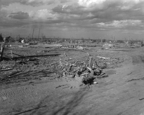 A desolate landscape with scattered debris, bare trees, and a cloudy sky, depicting a scene of devastation.