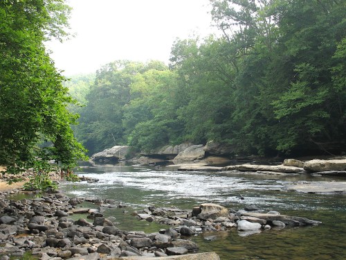 A serene river flows through a lush green forest, with rocky banks and gentle ripples on the water's surface.
