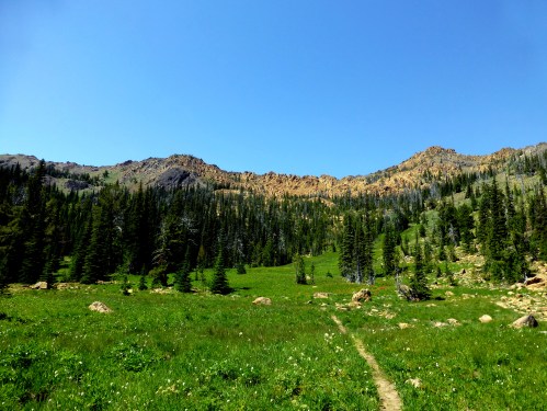 A scenic mountain landscape with green meadows, tall trees, and rocky peaks under a clear blue sky.