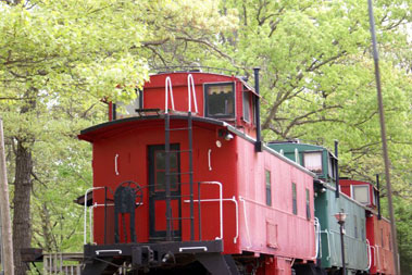 Red and green train cabooses surrounded by lush green trees.