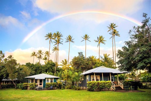 A vibrant rainbow arcs over two charming cottages surrounded by lush greenery and tall palm trees.