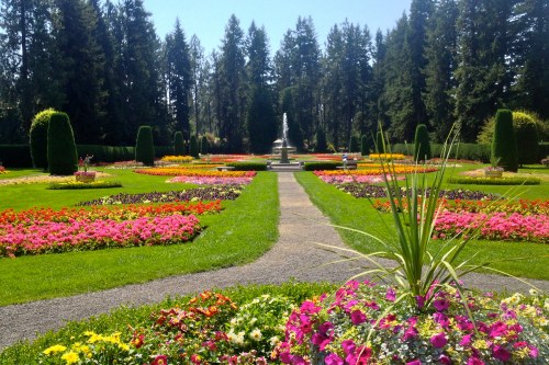 A vibrant garden filled with colorful flowers, pathways, and a fountain, surrounded by tall trees under a clear blue sky.